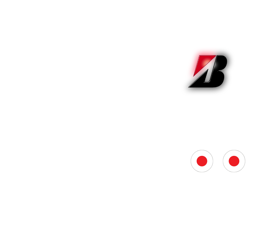 Bridgestone L355 325/95 R24