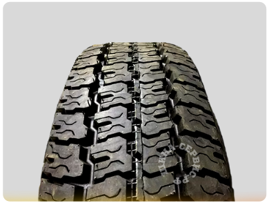 ШИНА-СЕРВИС.РФ (1).png